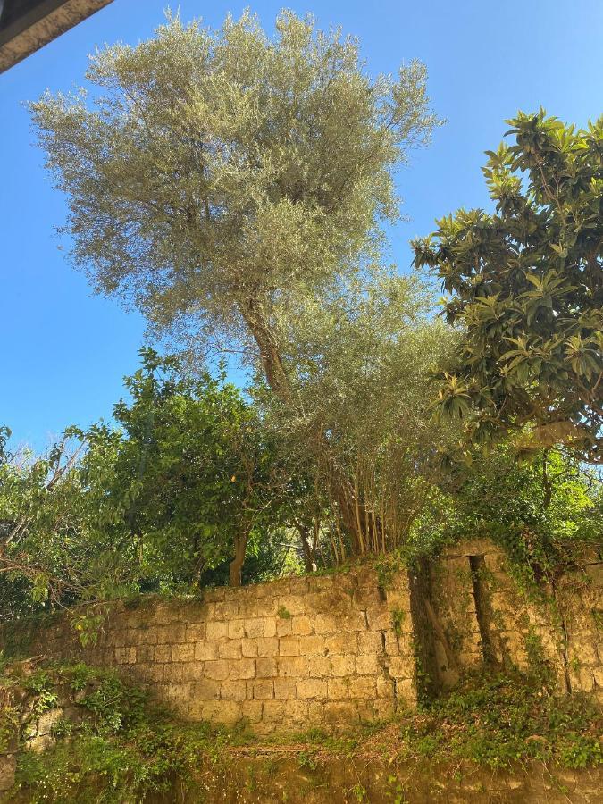 Marama B&B Sorrento Buitenkant foto